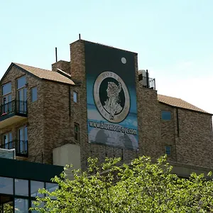 Otel The Historic Blue Moon - Nyc